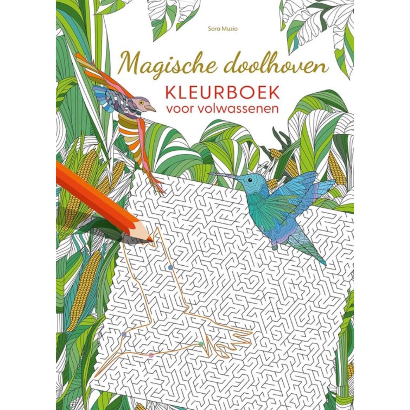 Magische doolhoven kleurboek